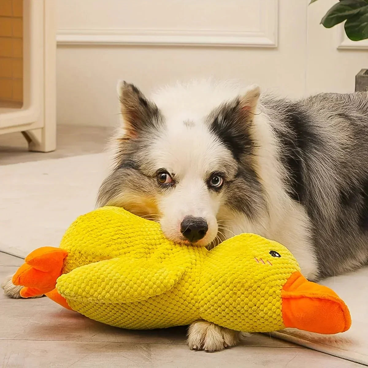 Squeaky Duck Plush Chew Toy for Dogs with Realistic Quack Sound for Small Medium Large Breeds Indoor Tug Play Fetch Teething Relief Companio