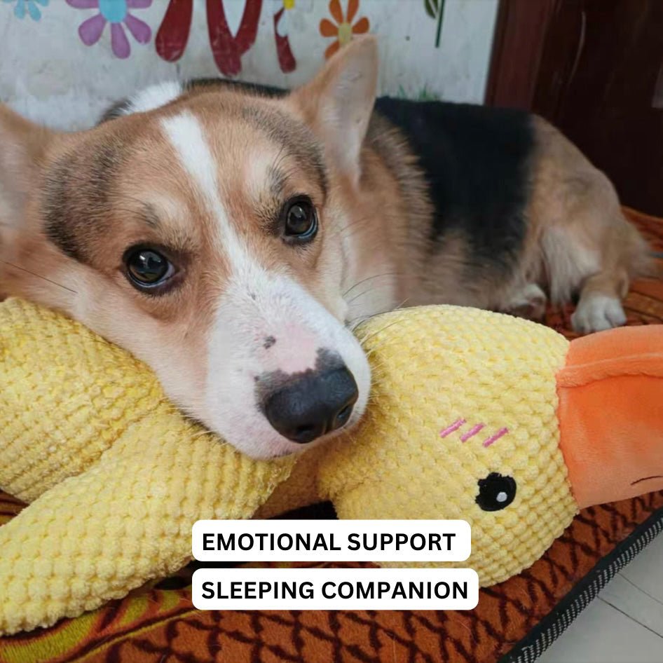 Squeaky Duck Plush Chew Toy for Dogs with Realistic Quack Sound for Small Medium Large Breeds Indoor Tug Play Fetch Teething Relief Companio