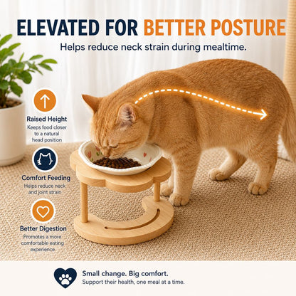 Ortekor Elevated Ceramic Pet Bowl with Wooden Stand for Cats & Small Dogs