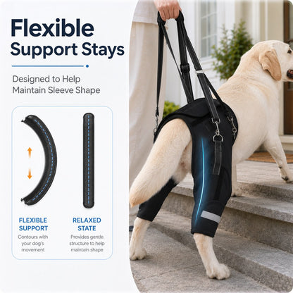 Ortekor Help Your Senior Dog Climb Stairs, Get in the Car & Walk with Rear-Leg Support