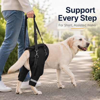 Ortekor Help Your Senior Dog Climb Stairs, Get in the Car & Walk with Rear-Leg Support