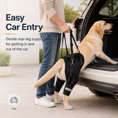 Ortekor Help Your Senior Dog Climb Stairs, Get in the Car & Walk with Rear-Leg Support