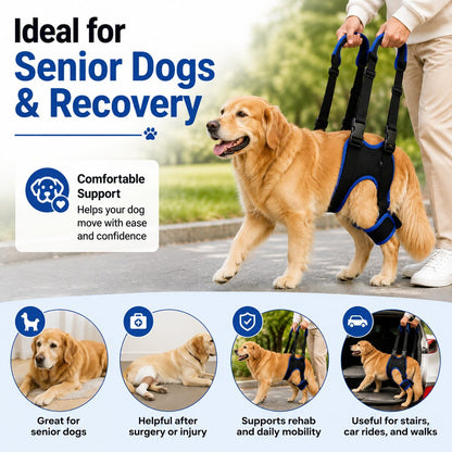Ortekor Rear Leg Support Sling for Dogs - Lift Assist Harness for Senior Dogs on Stairs, Cars & Daily Walks