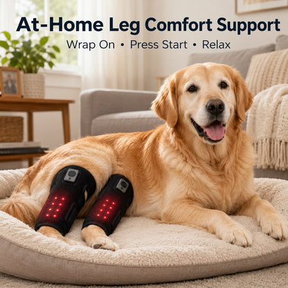 Ortekor Rechargeable Red Light Therapy Dog Knee Wrap for Senior Dogs - At-Home Leg Comfort Support for Post-Walk Stiffness & Mobility Care