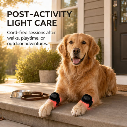 Ortekor Rechargeable Dog Red & Near-Infrared Leg Wrap – Cord-Free At-Home Care for Senior Dogs & Post-Activity Comfort