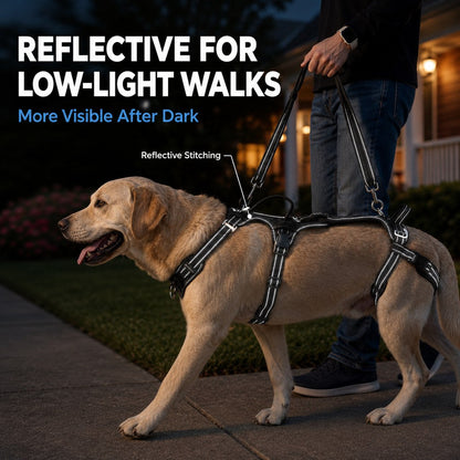 Ortekor Full Body Dog Lift Harness for Stairs & Car - Mobility Support for Weak Hind Legs