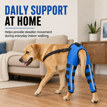 Ortekor Reflective Dog Rear Leg Support Brace for Evening Walks & Recovery Comfort