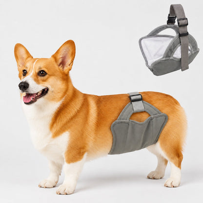 Ortekor Reusable Female Dog Diaper for Heat Cycles - Adjustable Washable Sanitary Pants for Home & Travel