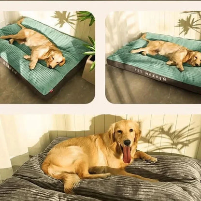 Orthopedic Dog Bed with Plush Cover - Memory Foam Support for Joint Relief & Comfort
