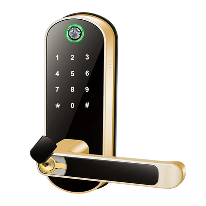 Biometric Door Lock with Fingerprint Scanner & App Control – 5 Entry Methods, 200 User Capacity