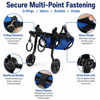 Ortekor Adjustable Rear Leg Dog Wheelchair for Daily Walks - Mobility Support Cart for Small Dogs with Weak Back Legs