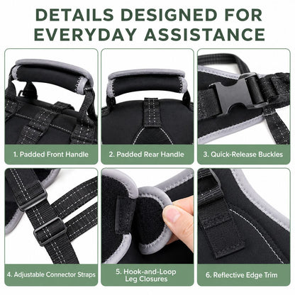 Ortekor Full-Body Dog Lift Harness with Dual Rear-Leg Support - Easier Standing, Stairs & Car Entry