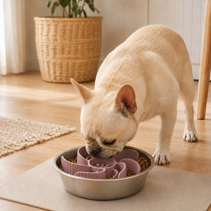 Ortekor Cut-to-Fit Slow Feeder Insert & Stainless Steel Bowl Set for Fast-Eating Dogs & Cats