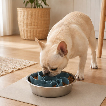 Ortekor Cut-to-Fit Slow Feeder Insert & Stainless Steel Bowl Set for Fast-Eating Dogs & Cats