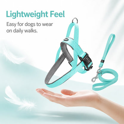 Ortekor Quick-Fit Lightweight Dog Harness & Leash Set for Daily Walks - No-Choke Step-In Comfort with Secure Buckle & Back Control Handle