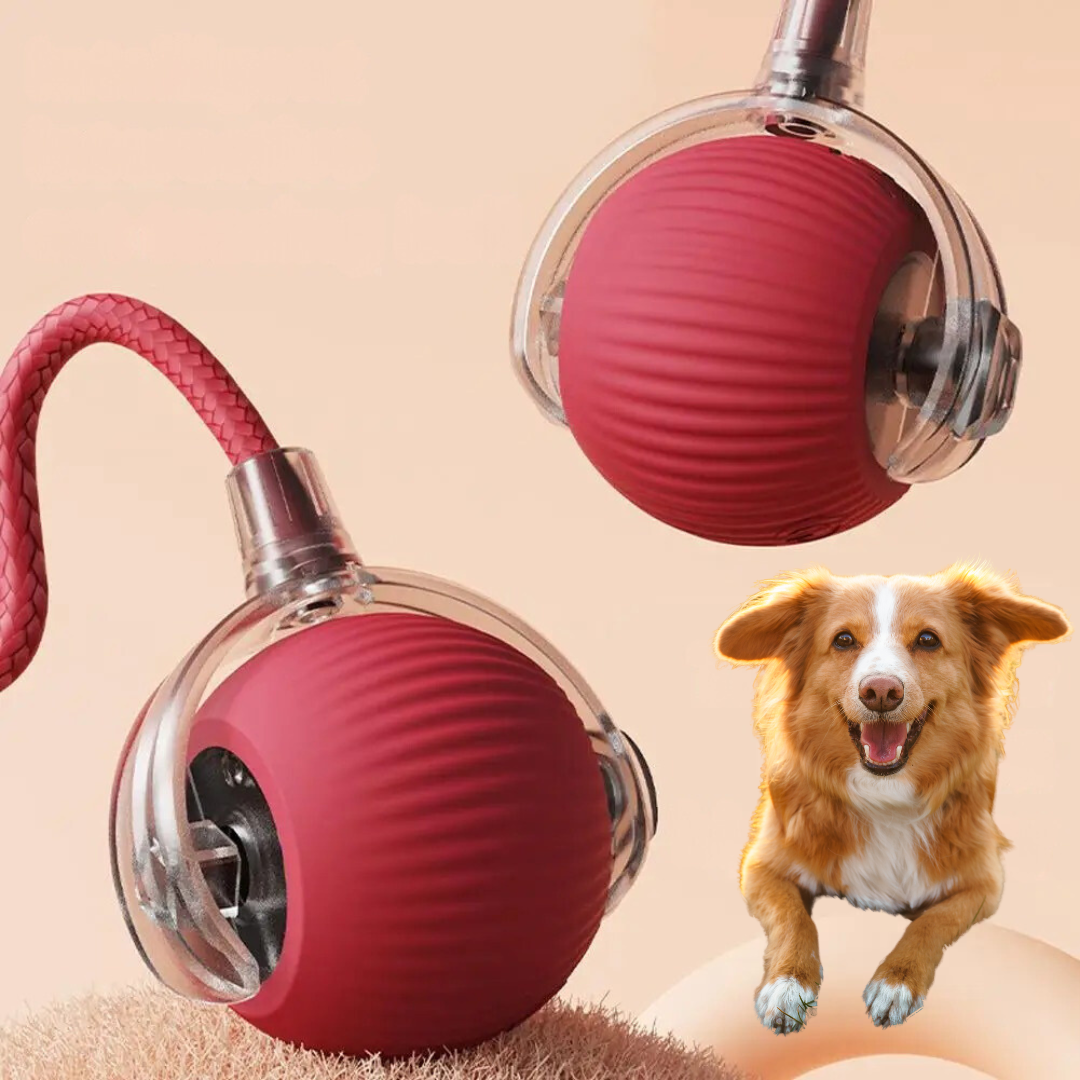 Automated Motion Ball Dog Toy with Tail | Unpredictable Movement Pet Chaser for Indoor Outdoor Play | Durable Interactive Exercise Toy for