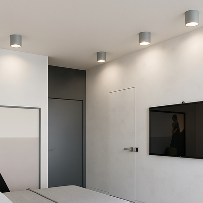 LED Ceiling Spot Light Flush Mount Round Cylinder Black White Gray Metal Acrylic 3.3-5.9 in Small Kitchen Bathroom Hallway Directional Spotl