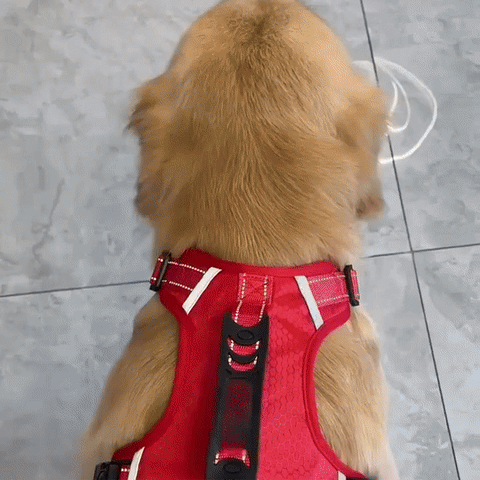 360° Reflective No-Pull Padded Dog Vest