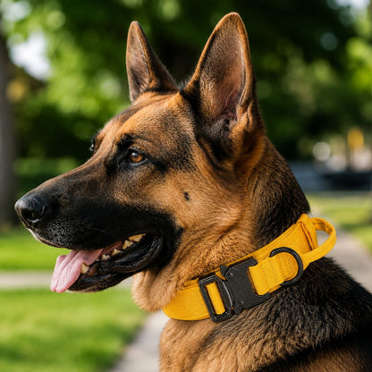 Ortekor Heavy-Duty Tactical Dog Collar for Walks & Training - Padded Handle Control for Strong Large Dogs