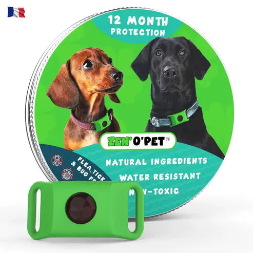 Flea and Tick Collar for Dogs – 8-Month Natural Protection for All Breeds & Sizes – Water-Resistant Adjustable Pest Repellent