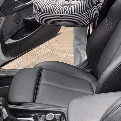 Small Dog Car Seat for Travel, Pet Car Seat with Non Slip Base, Adjustable Car Seat for Dogs and Cats with Straps