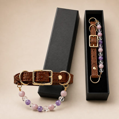 Ortekor Four Elements Crystal Pet Collar Gift Box for Cats & Small Dogs - Photo-Ready Astrology Pet Jewelry for Birthdays, Holidays & Meaningful Pet Gifts