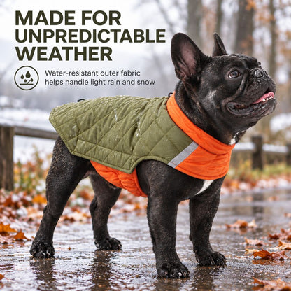 Ortekor Reversible Quilted Dog Winter Coat for Cold Walks - Water-Resistant Reflective 2-in-1 Jacket with Easy Belly Fit