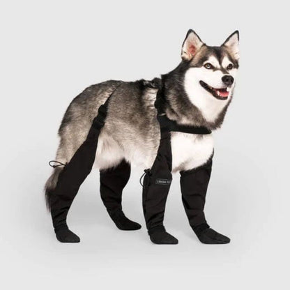 Wearclo | Dog Leggings with All-Weather Paw Protection | Durable Design for Ultimate Comfort