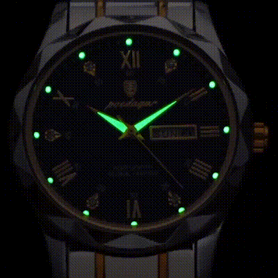 Luxury Men's Waterproof Watch with Luminous Functionality | Stylish Timepiece for Everyday Use