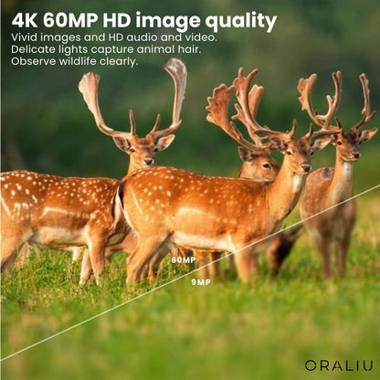 60MP Trail Camera with 4K Video Recording, Night Vision & Smartphone App – Waterproof Wildlife Monitoring System for Hunting, Property